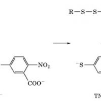 5,5′-Dithiobis (2-nitrobenzoic acid)