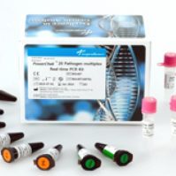 Bộ kit phát hiện Campylobacter jejuni bằng Real-time PCR