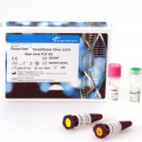 PowerChek™GM Bt176 real time PCR kit