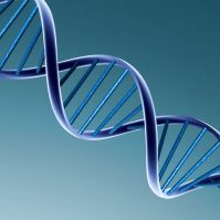 Hóa chất sinh học phân tử, molecular biology